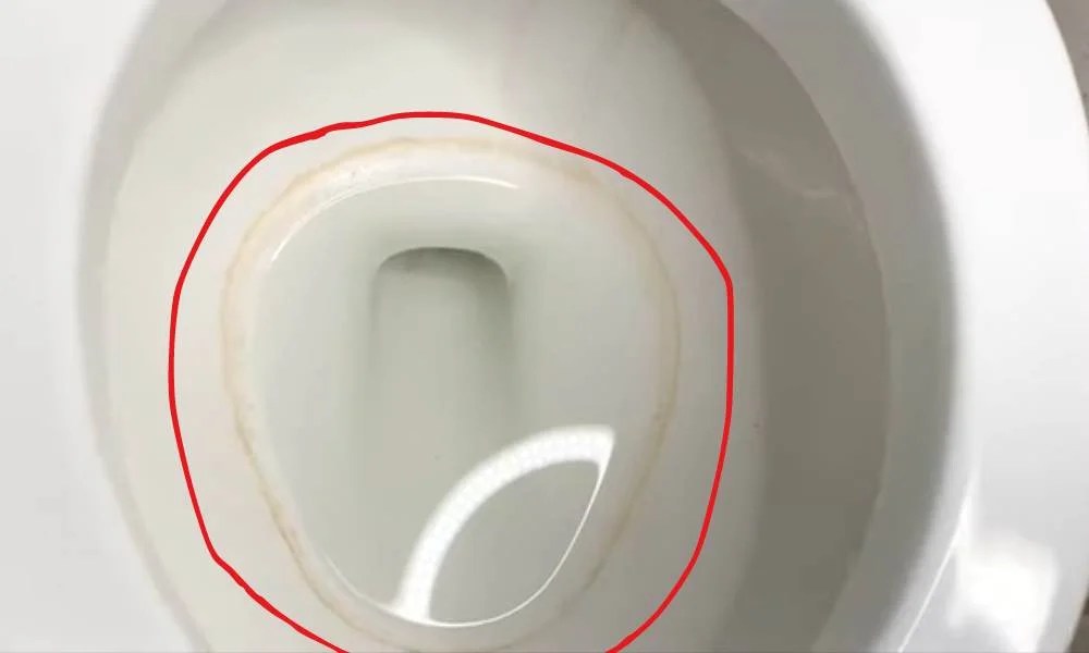 How to Get Rid of Toilet Ring? 5 Easy Methods Small House Decor