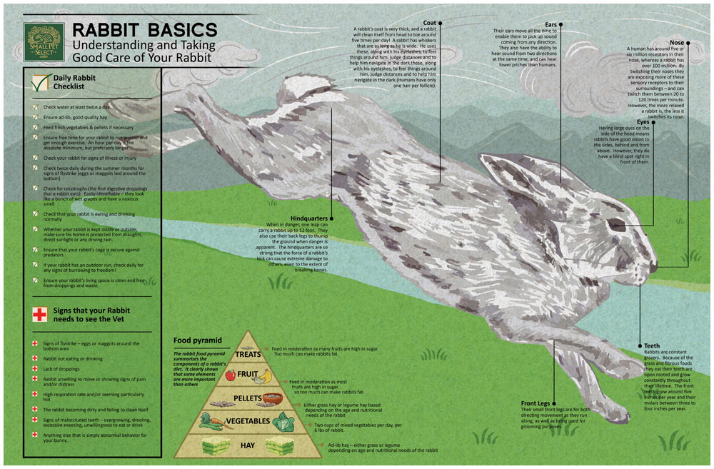 Timothy Hay For Rabbits Guinea Pigs Chinchillas Small Pet Select
