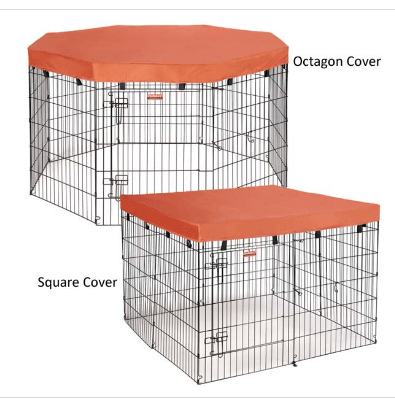 Stay inside that exercise pen, rabbit! Escape artists and how to solve.