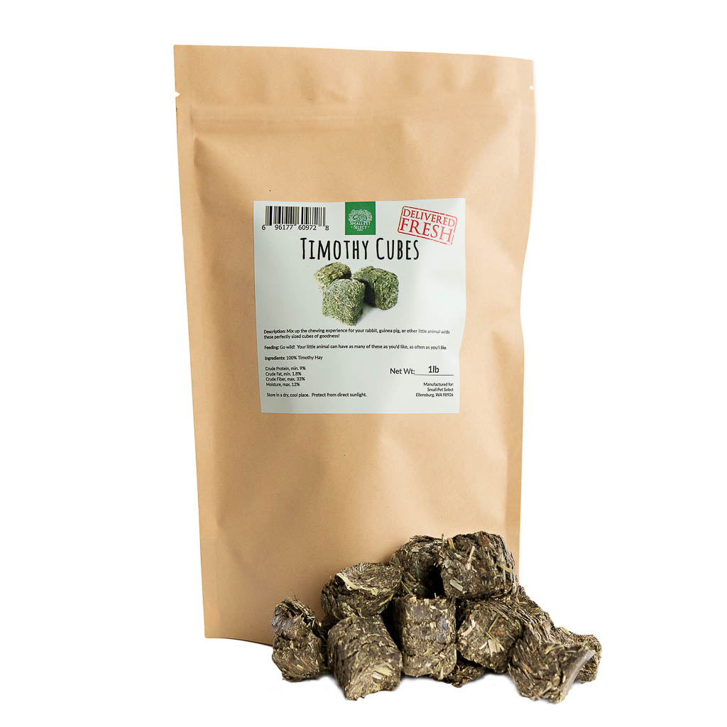 Safe Treats for Chinchillas What is Good, What to Avoid Small Pet Select