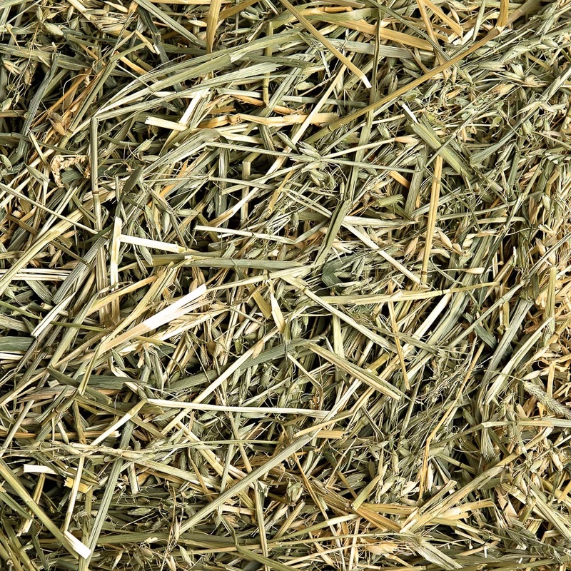 Rabbit Hay Basics Everything You Need to Know Small Pet Select