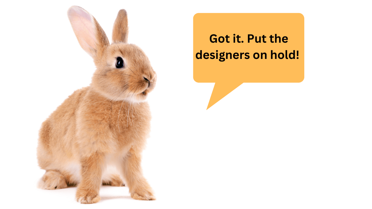 The Ultimate Rabbit Habitat Quick Setup Small Pet Select Blogs