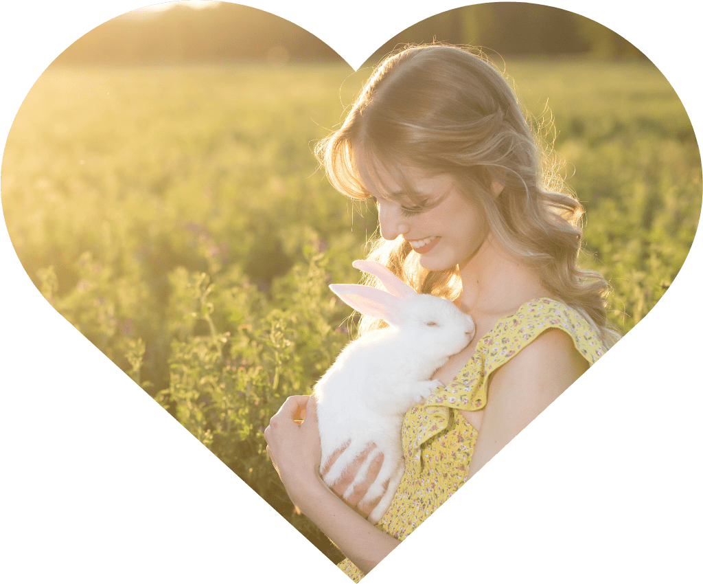 Decoding Rabbit Sounds Understanding The Language of Your Bunny