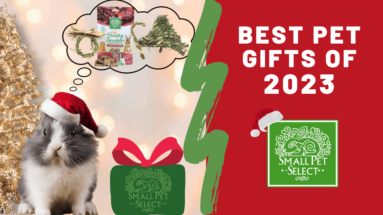 The Ultimate Gift Guide Best of the Best in 2023 Small Pet Select