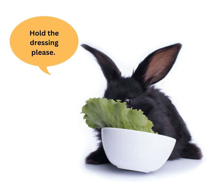 St. Patricks Day Special The Best Greens For Rabbits Small Pet