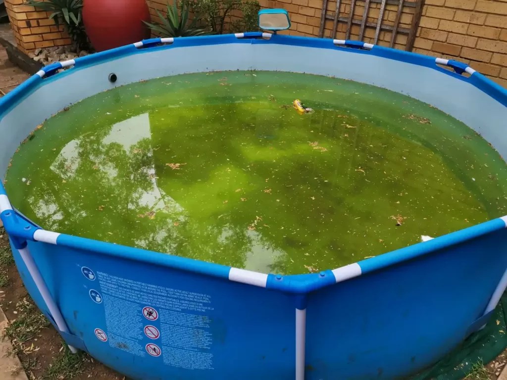 15 Tips To Prevent Your Above Ground Pool From Turning Green Small