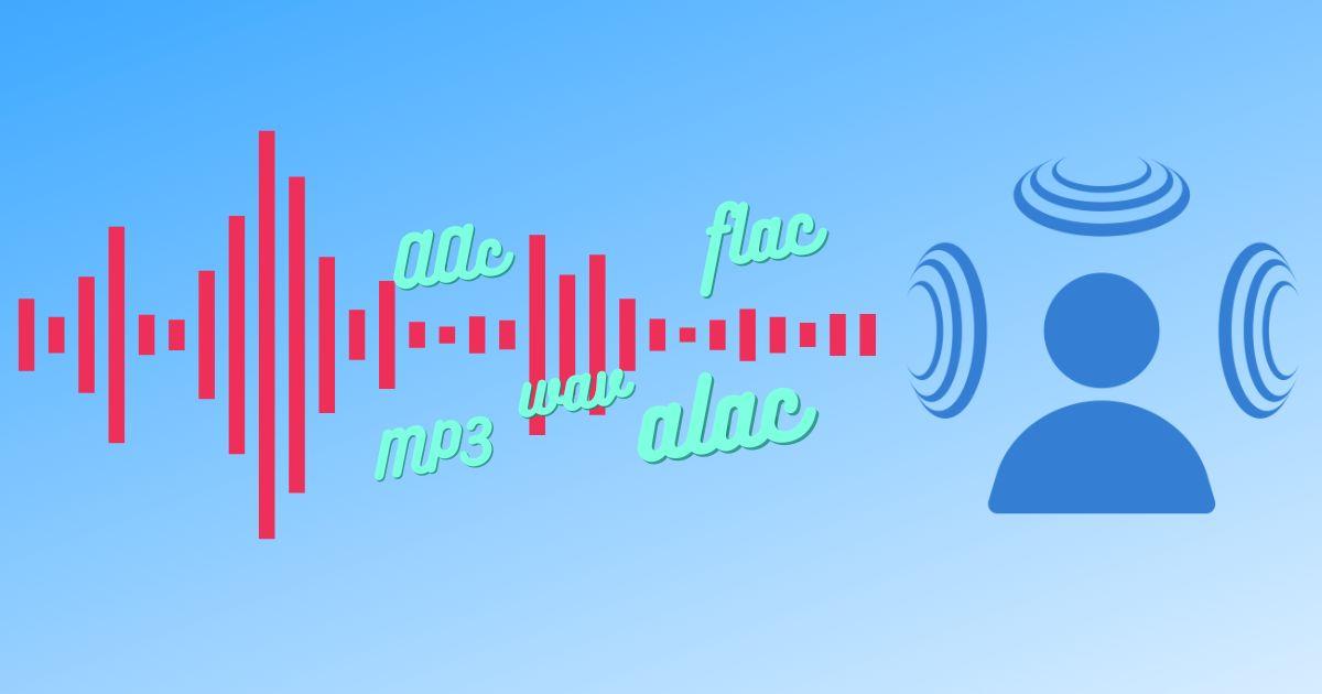 What is an Audio Codec? A Comprehensive Guide for Beginners smallTechy