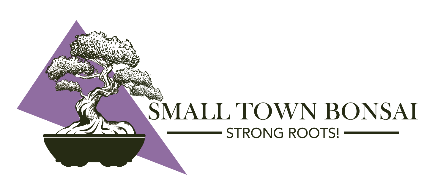 Bonsai Species Care Small Town Bonsai