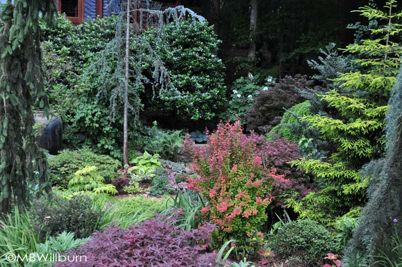 foliagegarden Small Town Gardener