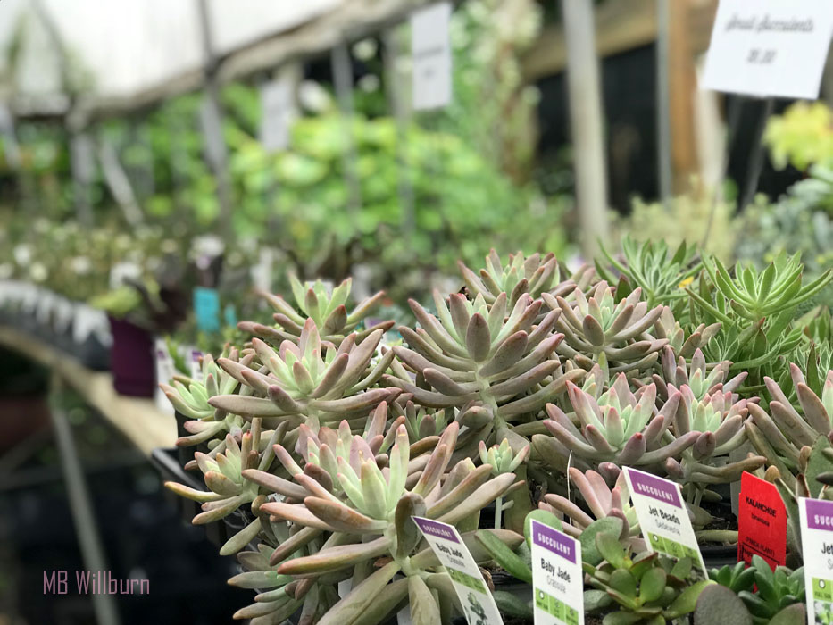 Nursery Spotlight What's Old Is New Again at MarLu View Marianne