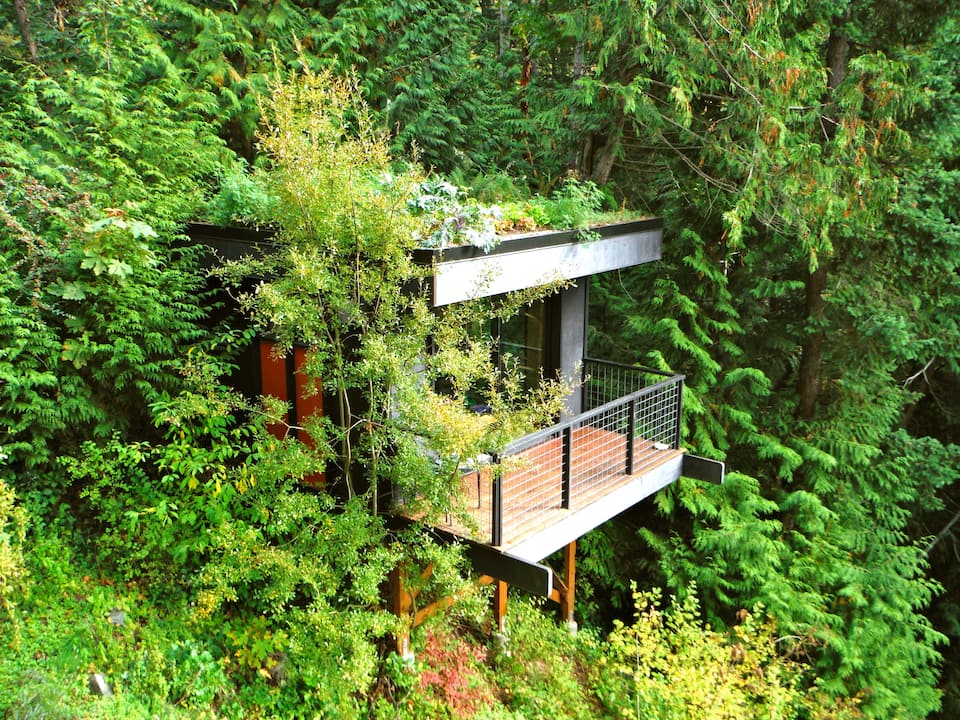 23 Epic Treehouse Rentals in Washington State Worth Booking • Small