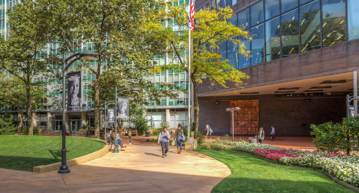 LIU Brooklyn University (New York, USA) apply, prices, reviews Smapse