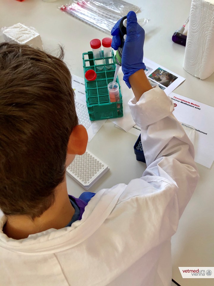 University of Veterinary Medicine Vienna (Vienna, Austria) apply