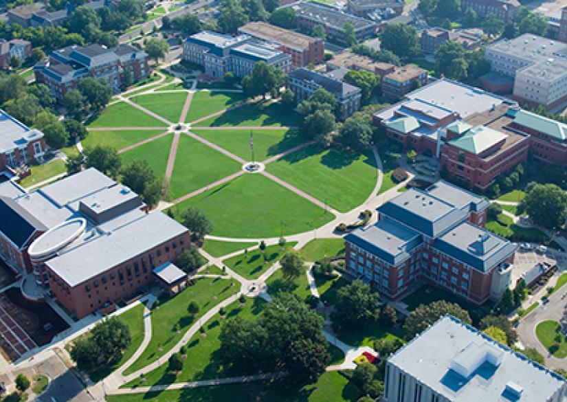 Mississippi State University (New Orleans, USA)
