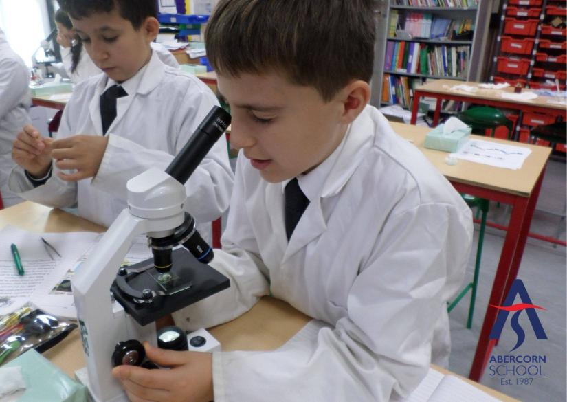 Abercorn School (London, United Kingdom)