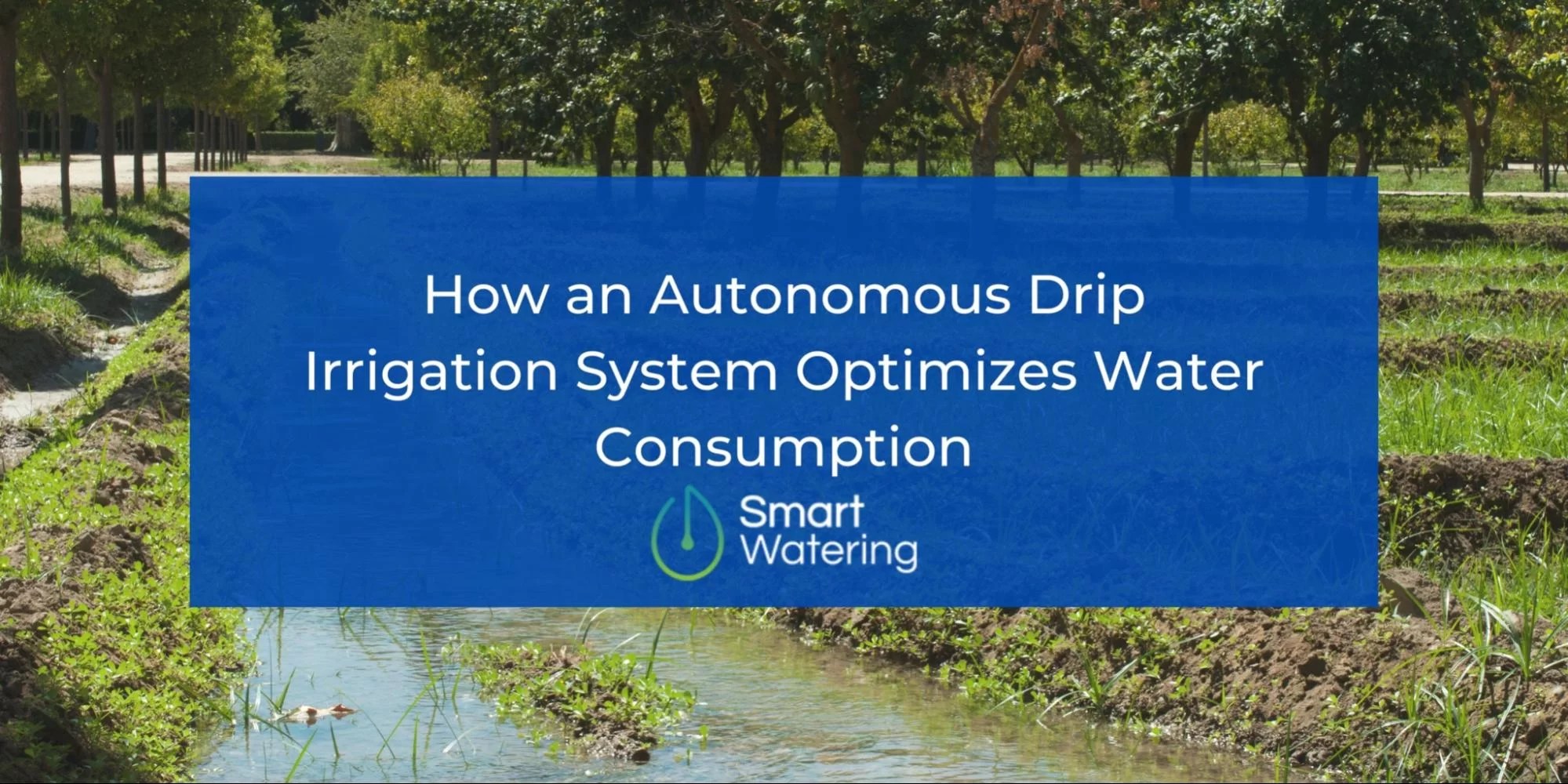 Autonomous Drip Irrigation System What It Is & How It Optimizes Water