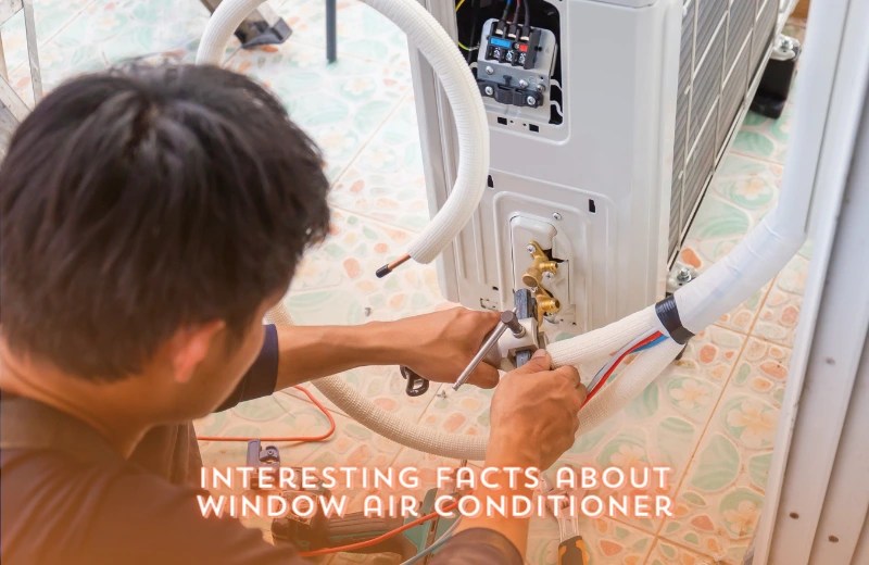 Do Window Air Conditioners Ruin Windows? Everything You Need To Know