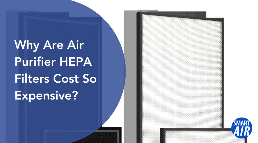Here's Why HEPA Filters so Expensive Smart Air