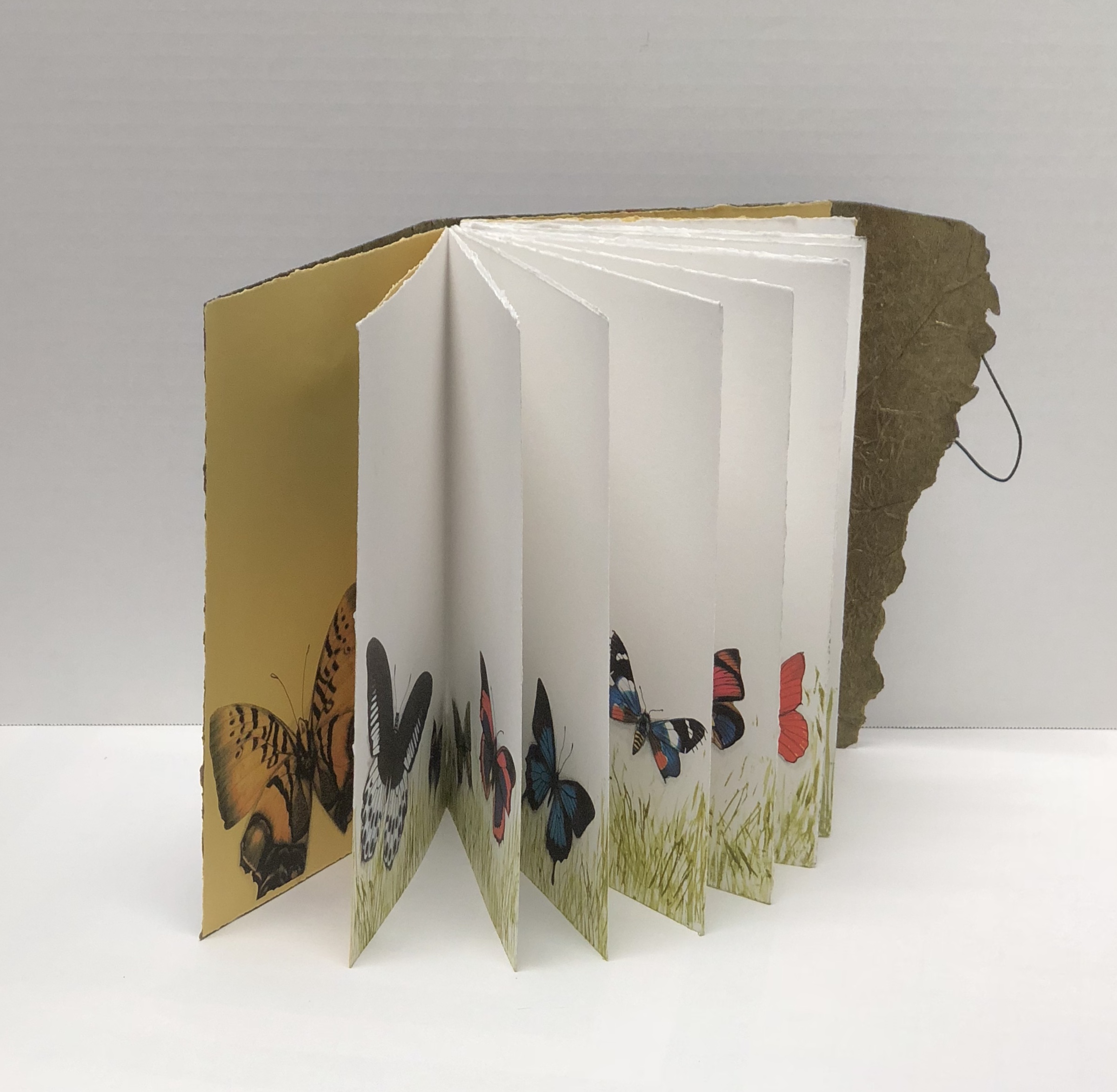 Flutter Book smARTaleck studio