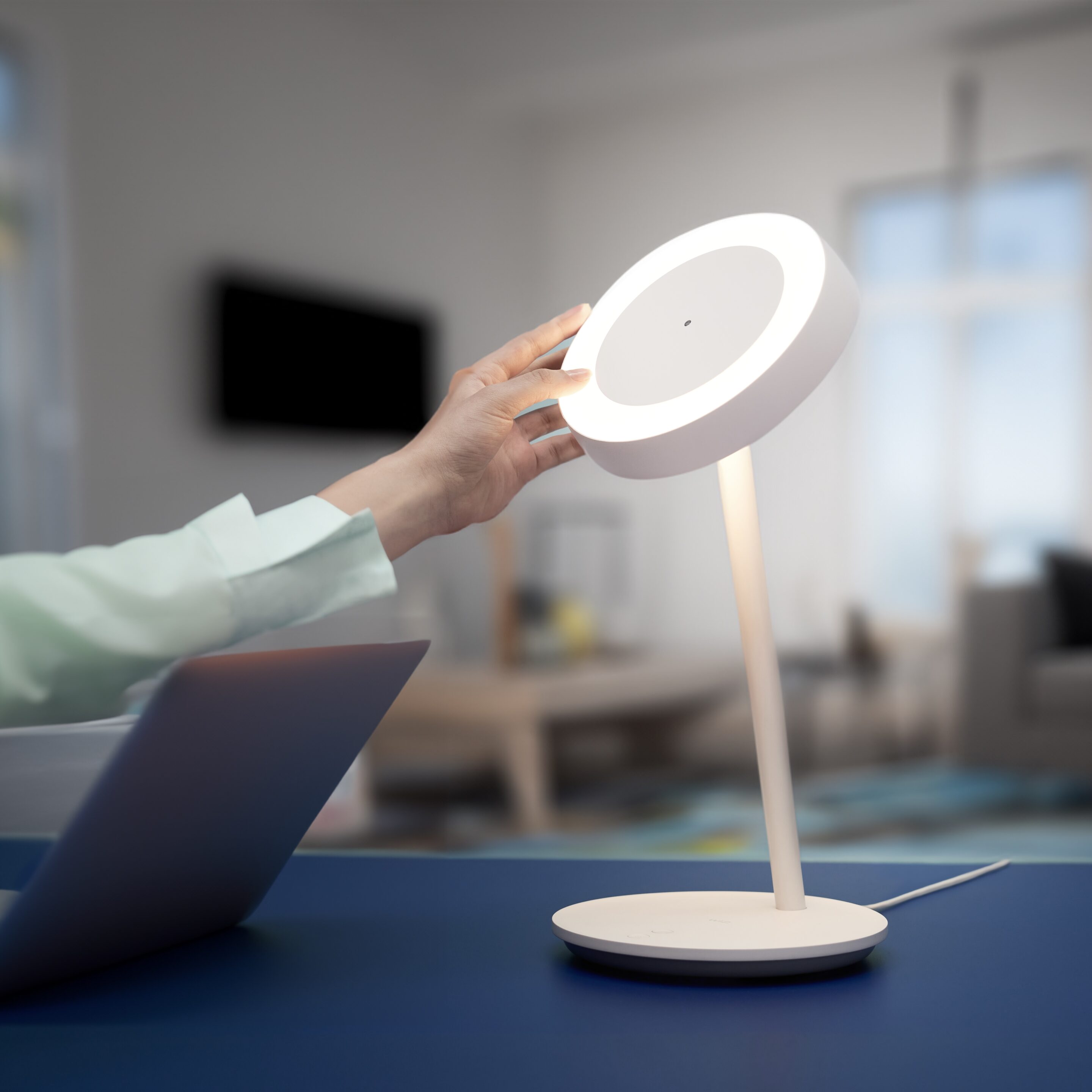 WiZ Introduces New Matter Lights for Desk and Garden Matter & Apple