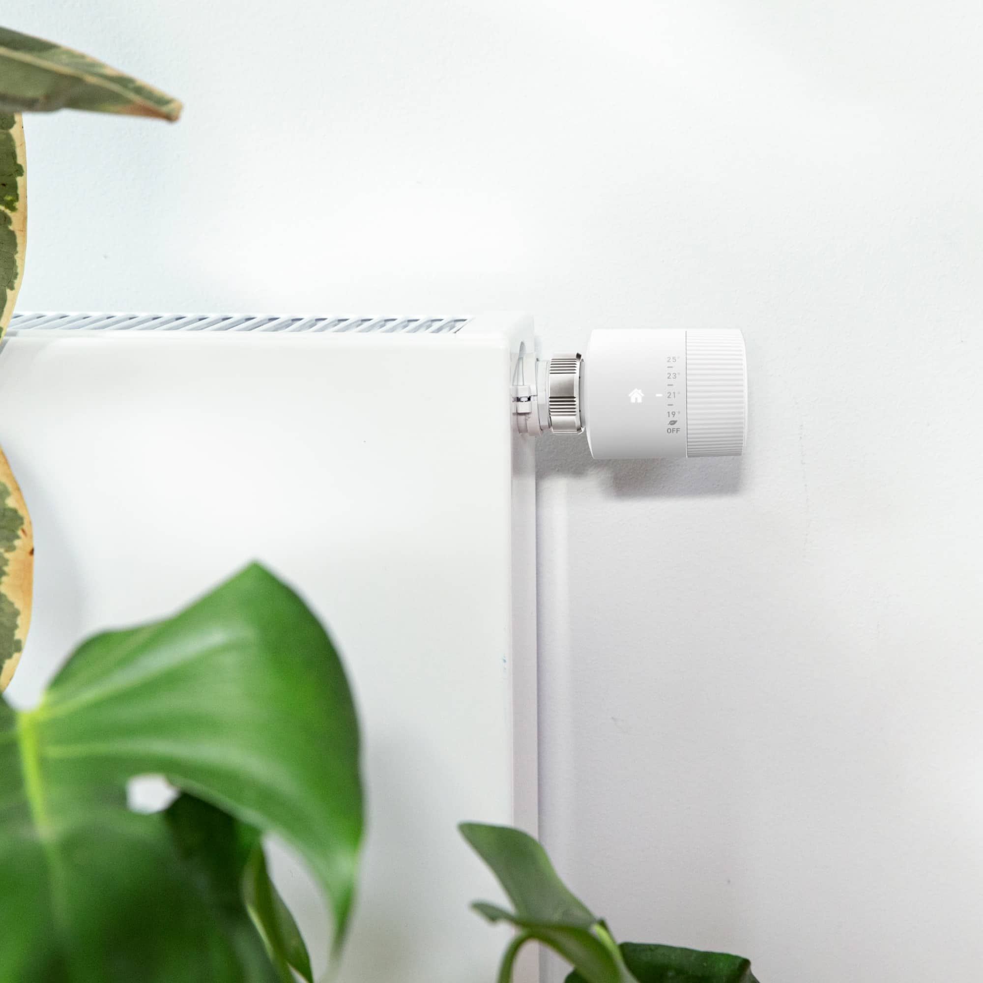 tado° Basic Abgespecktes HeizkörperThermostat startet Matter & Apple HomeKit Blog