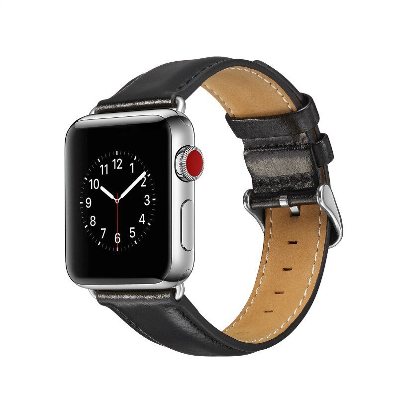 12 Best Luxury Apple Watch Bands IUCN Water