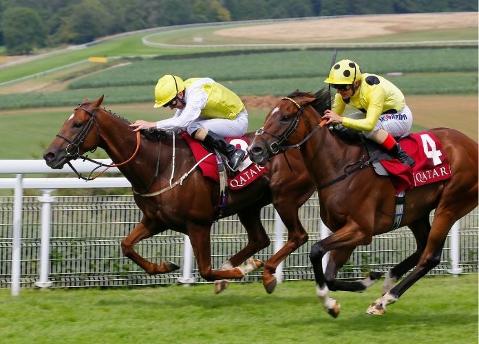 Horse Racing Betting Systems 【year】
