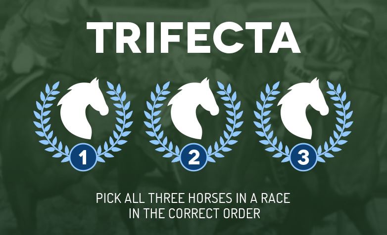 Exotic Betting Strategy in Horse Racing