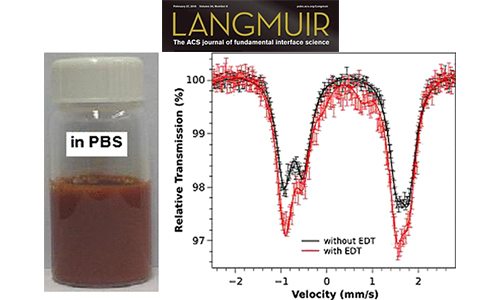 Publication Smart Biomaterials