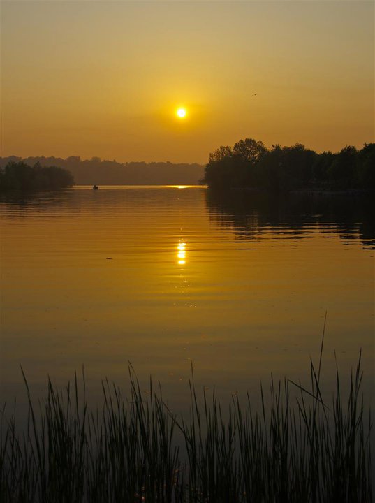 Walmart Photo Centre Free 8" x 10" Print With Promo Code Canadian