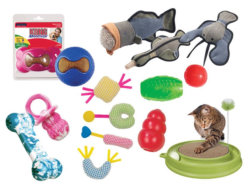 PJ's Pets Canada Sale Save 30 Off All Dog and Cat Toys Today Only