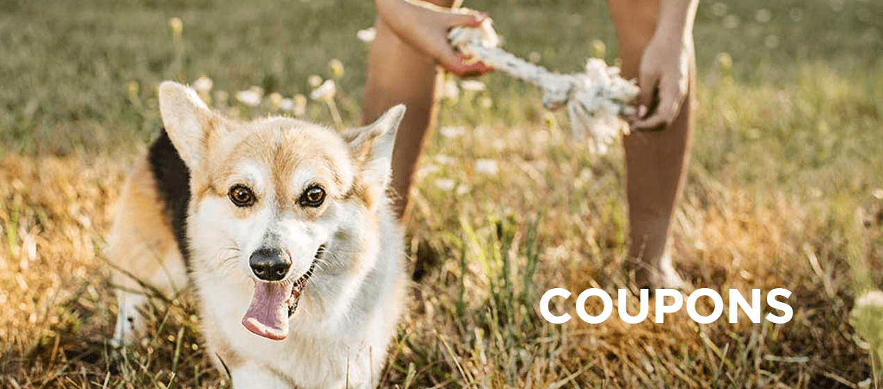 New Hidden SmartSource Canada Coupons Save on Purina Products