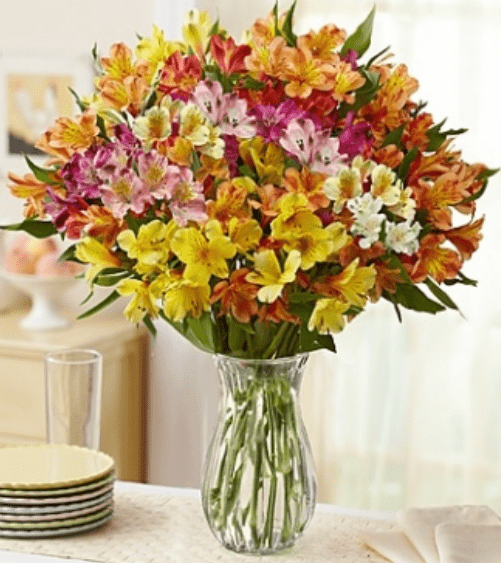 1800Flowers Canada Coupon Codes Save 25 Off Summer Peruvian Lilies