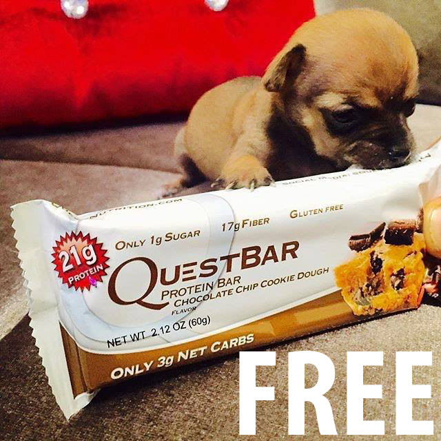 Two FREE Quest Canada Nutrition Protein LowCarb Bars *HOT* Canadian