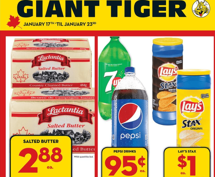 Giant Tiger Ontario Flyer Roundup January 17th 23rd Canadian