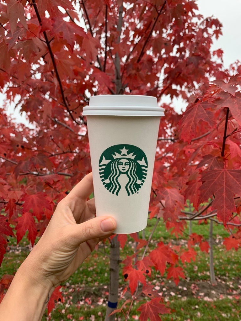 Starbucks Canada FREE Coffee on Wednesday 29th Canadian Freebies
