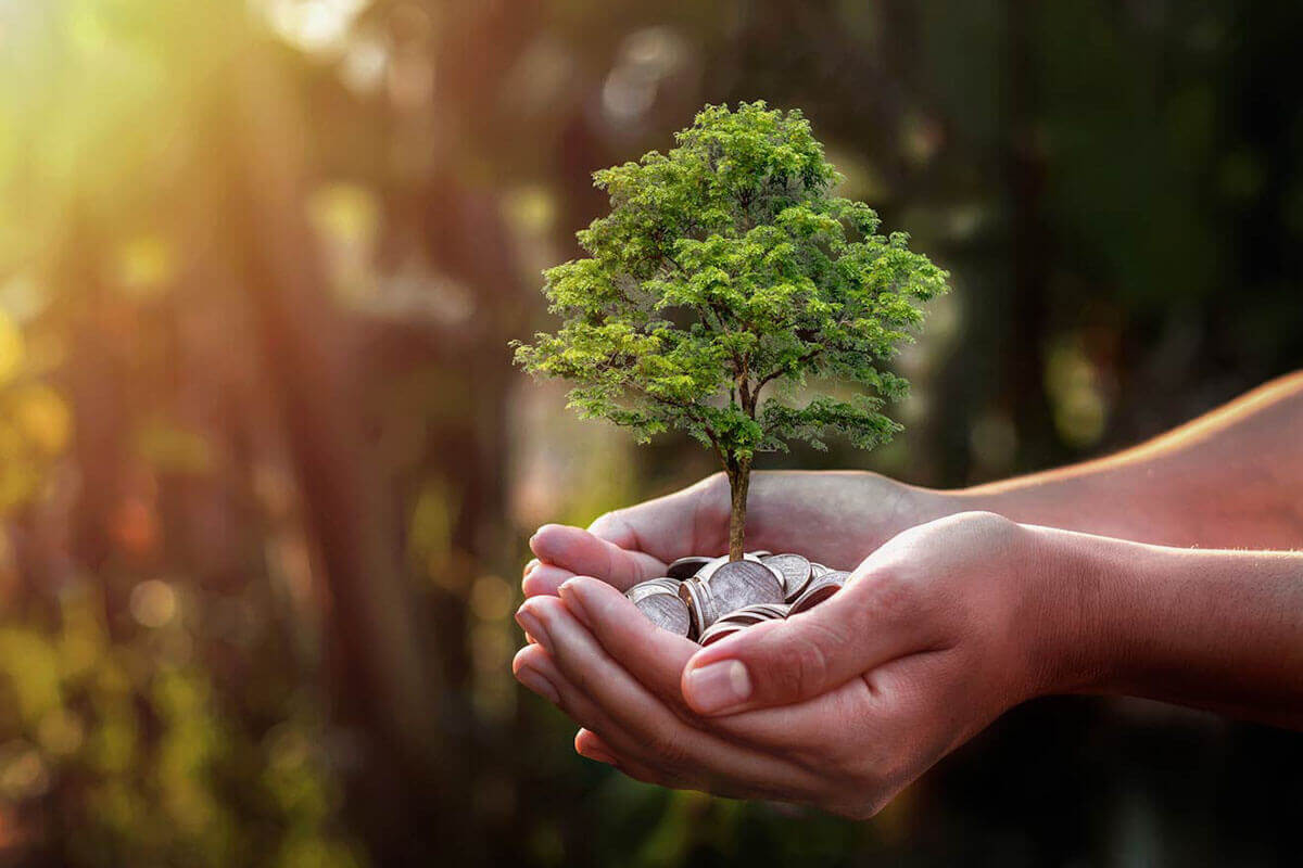 Buy, sell and reserve Carbon Tax Credits. Offset Carbon Tax by buying credits, make money