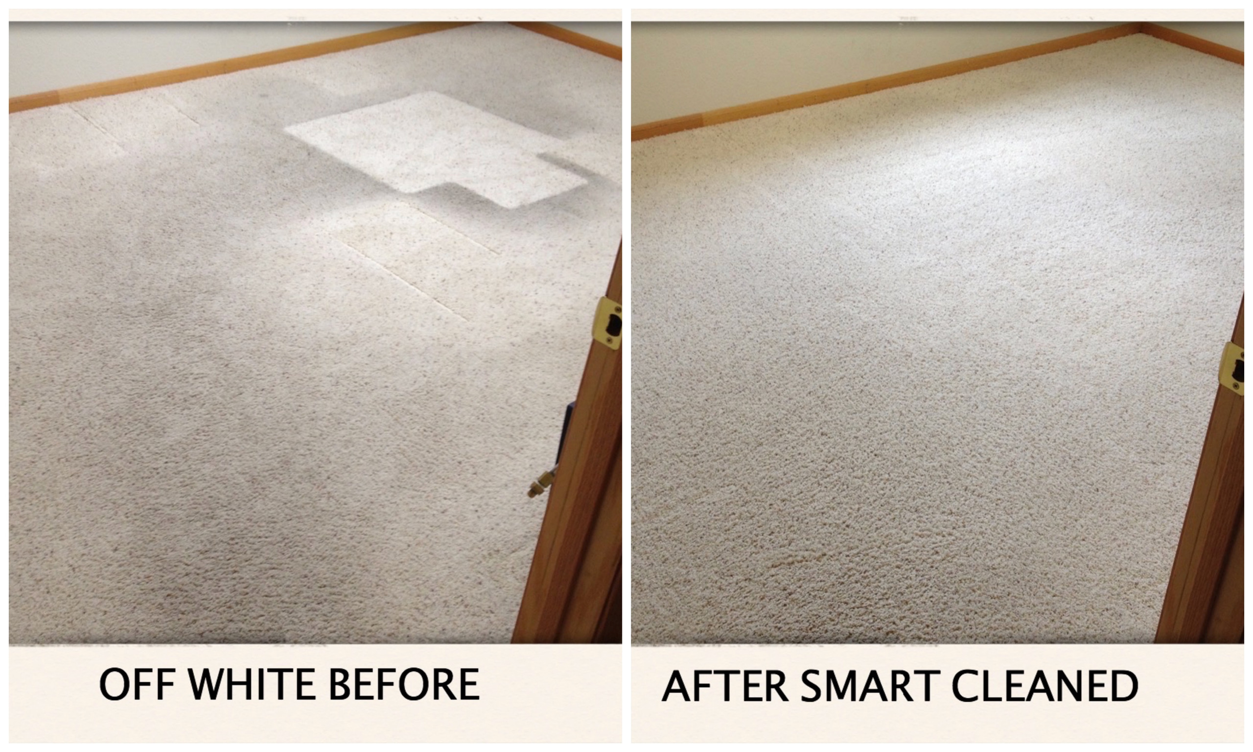 Carpet Cleaner Ratings Fort Collins, CO Carpet Cleaning Before & After