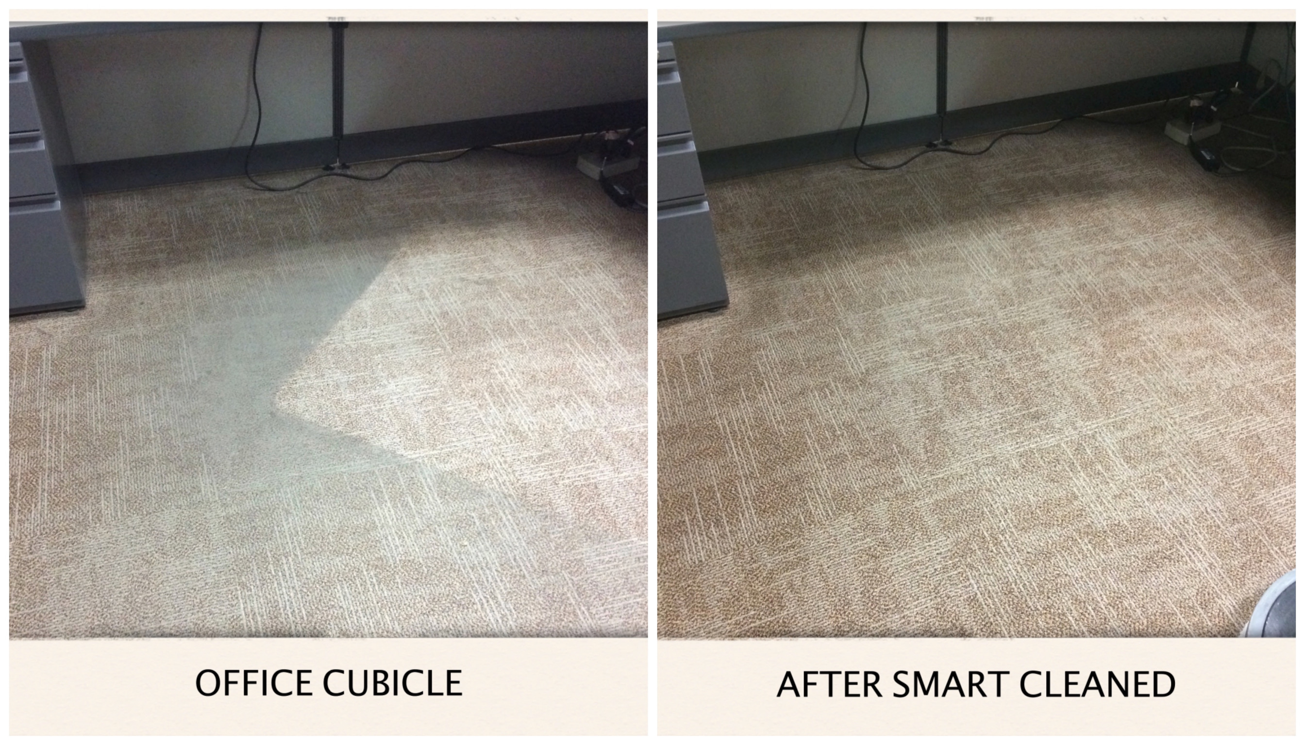 Carpet Cleaner Ratings Fort Collins, CO Carpet Cleaning Before & After