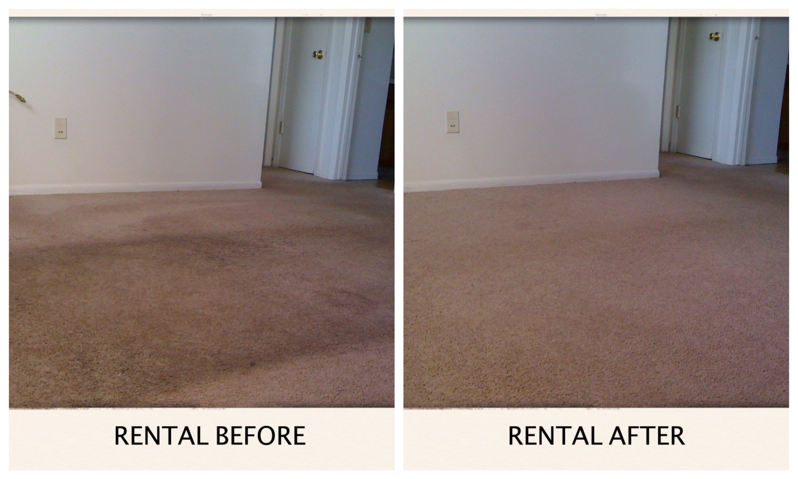 Carpet Cleaner Ratings Fort Collins, CO Carpet Cleaning Before & After