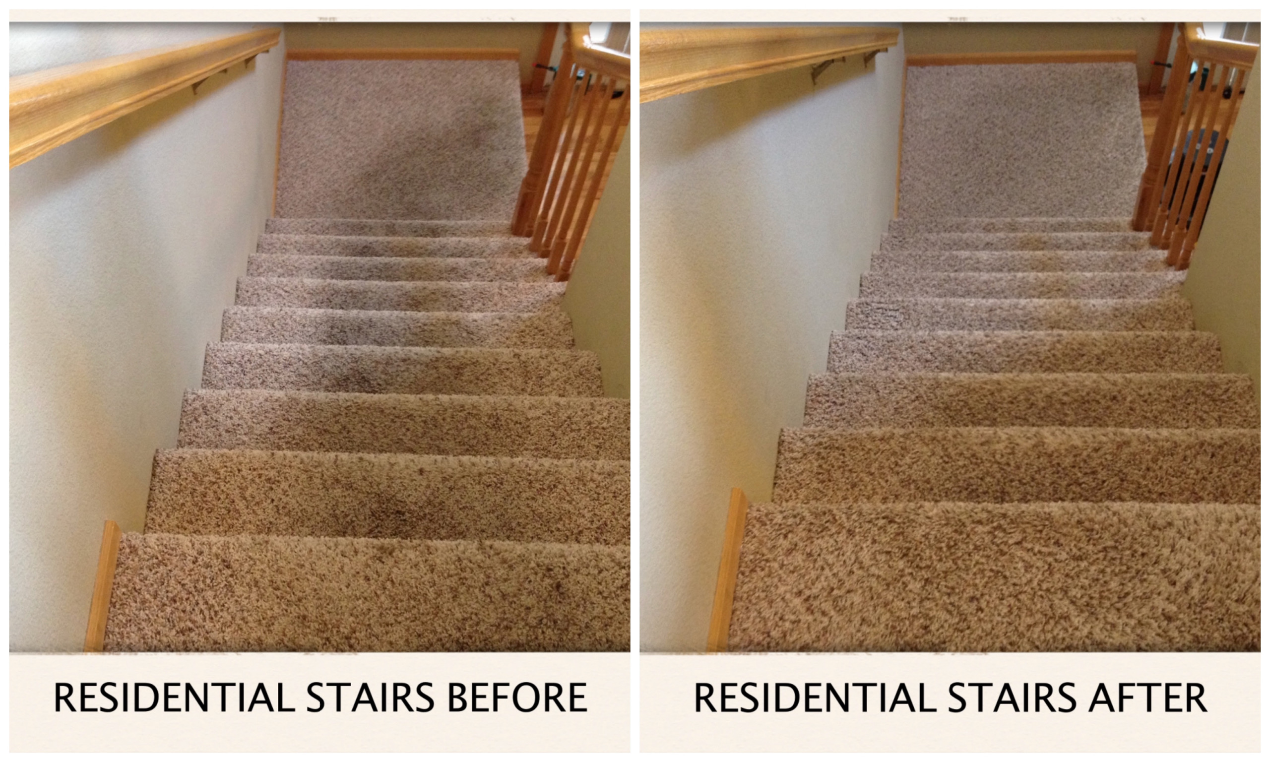 Carpet Cleaner Ratings Fort Collins, CO Carpet Cleaning Before & After