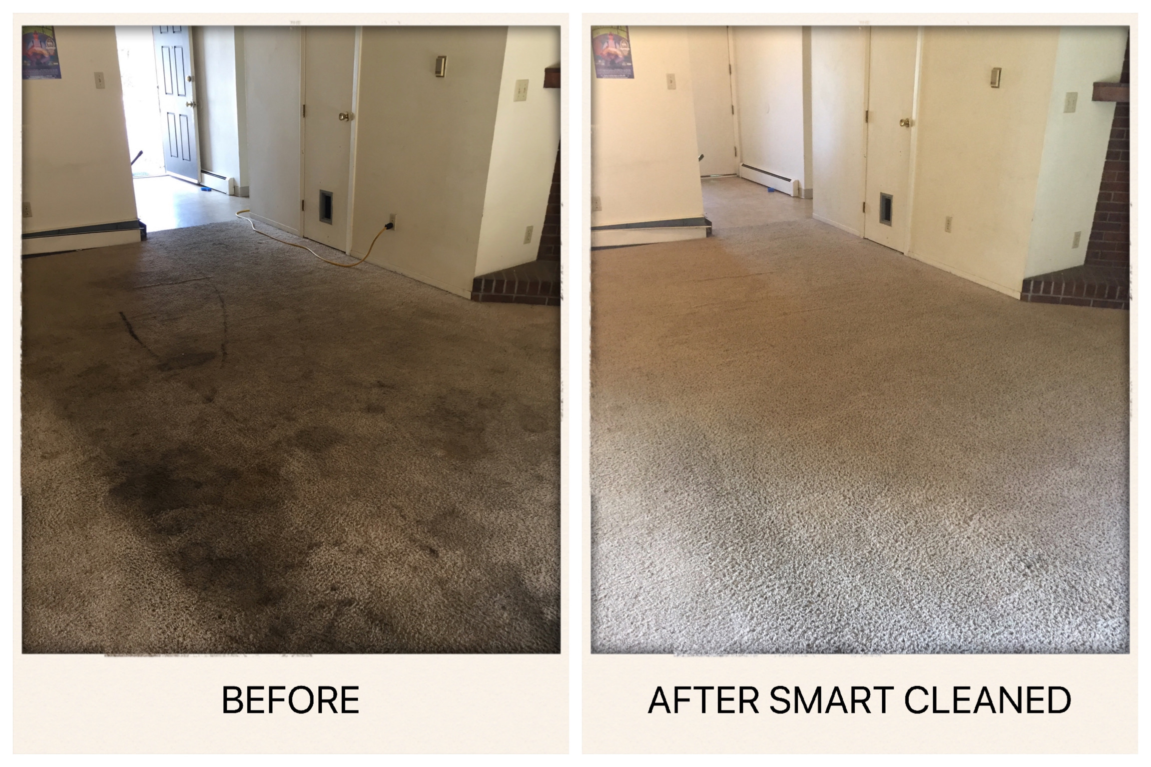 Collins Carpet Cleaning Home Design Ideas