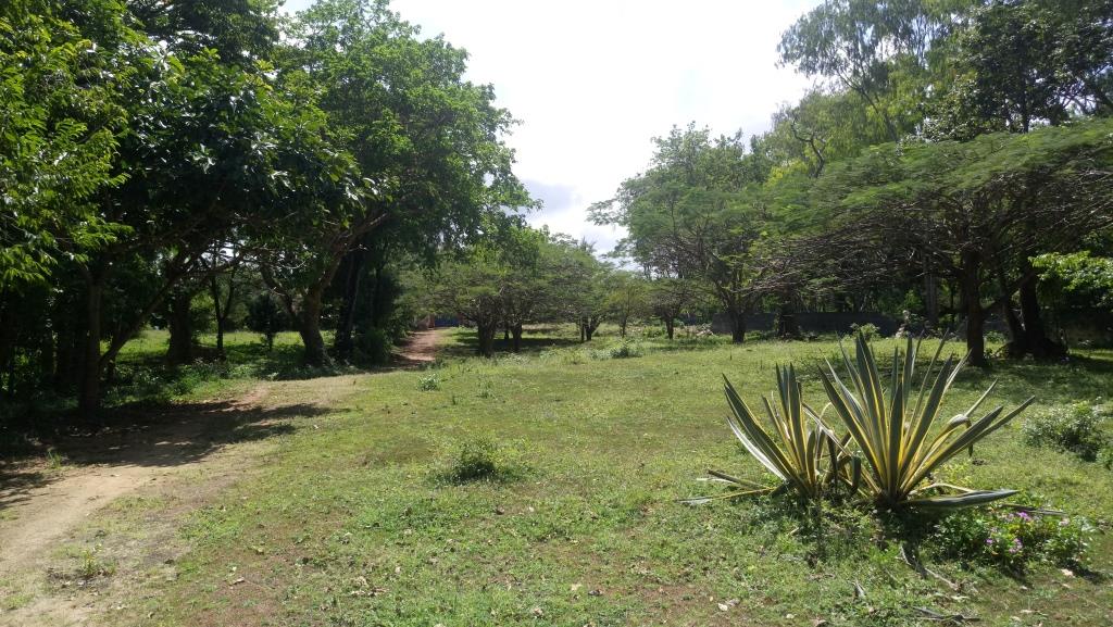 2.5 Acres Beach front Land for Sale Smart Choice Properties