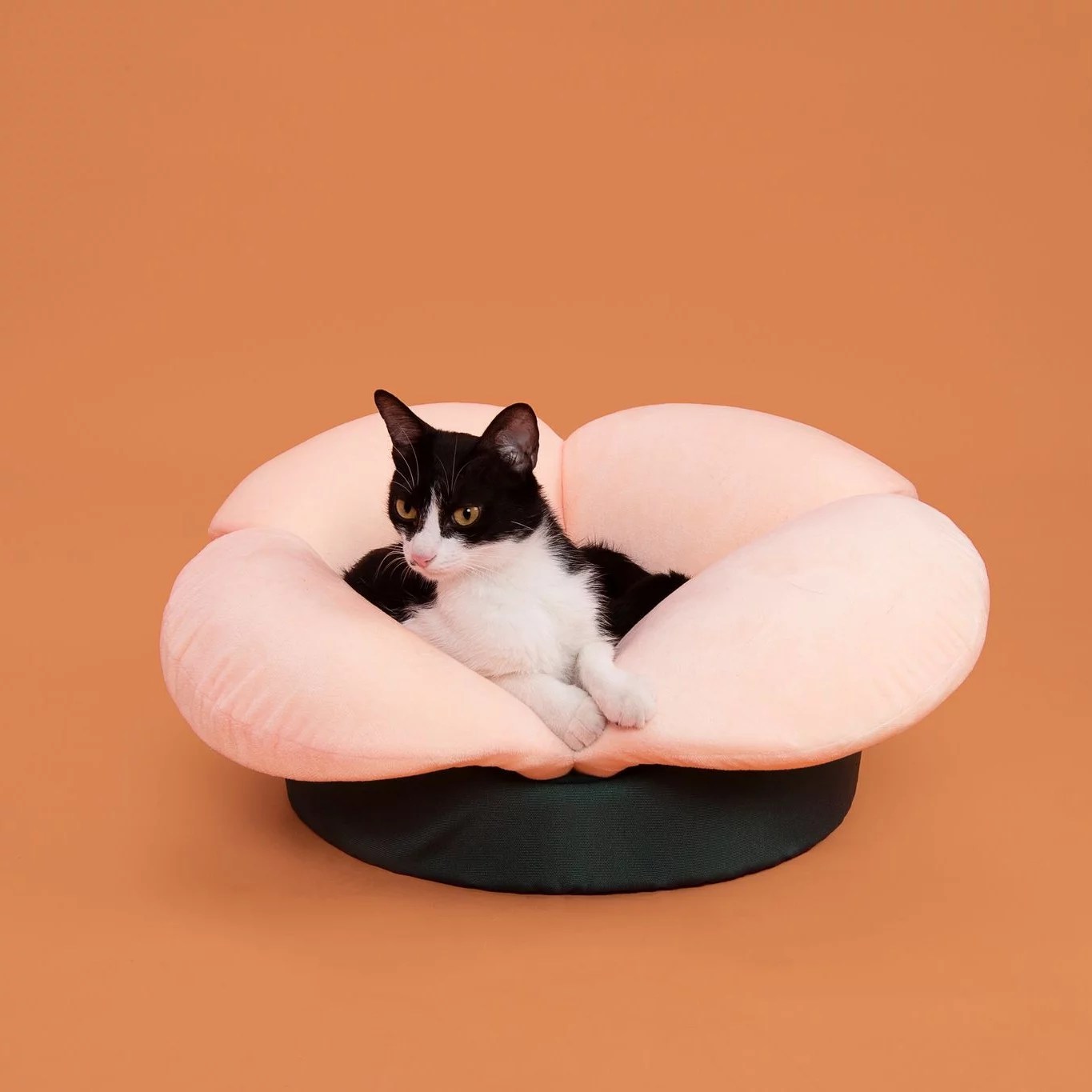Pidan Cama Para Mascotas FLOR Smart Concept