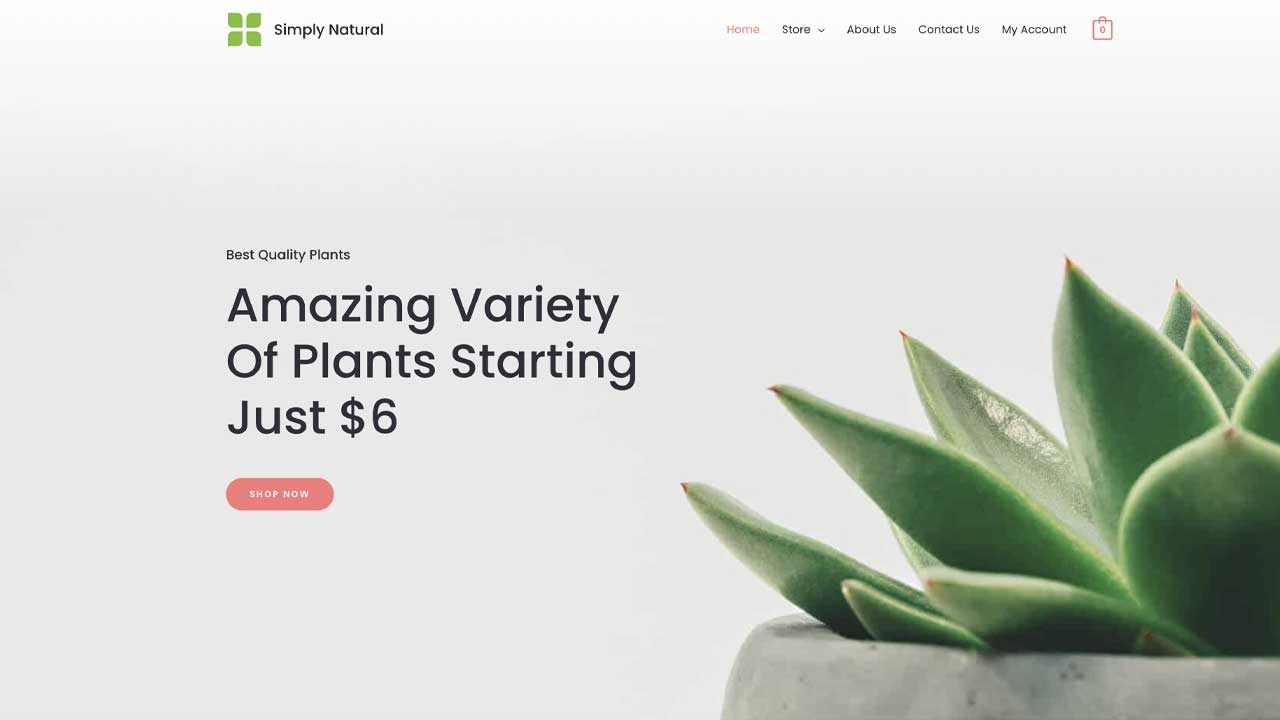 Simply Natural BusinessReady VPS Hosted site