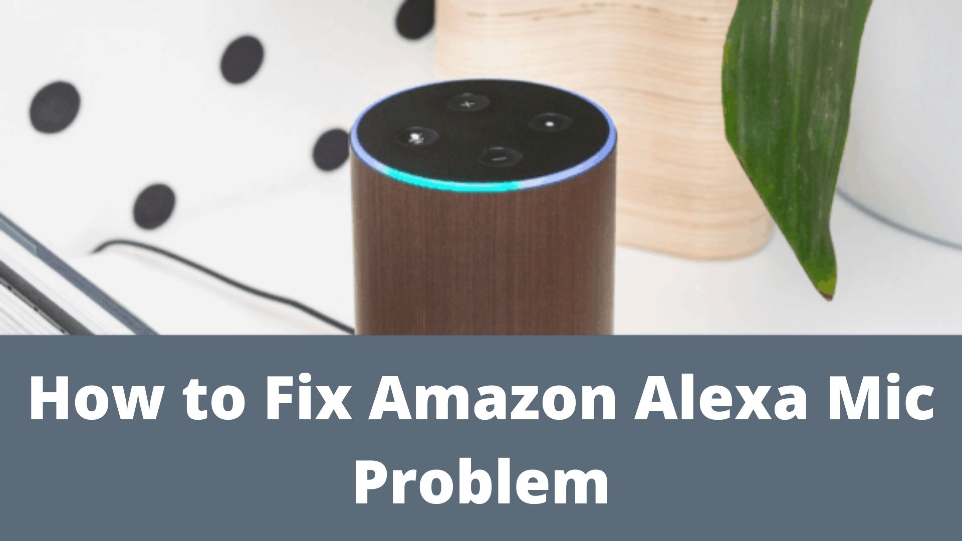 How To Fix Amazon Alexa Mic Problem Alexa Helpline