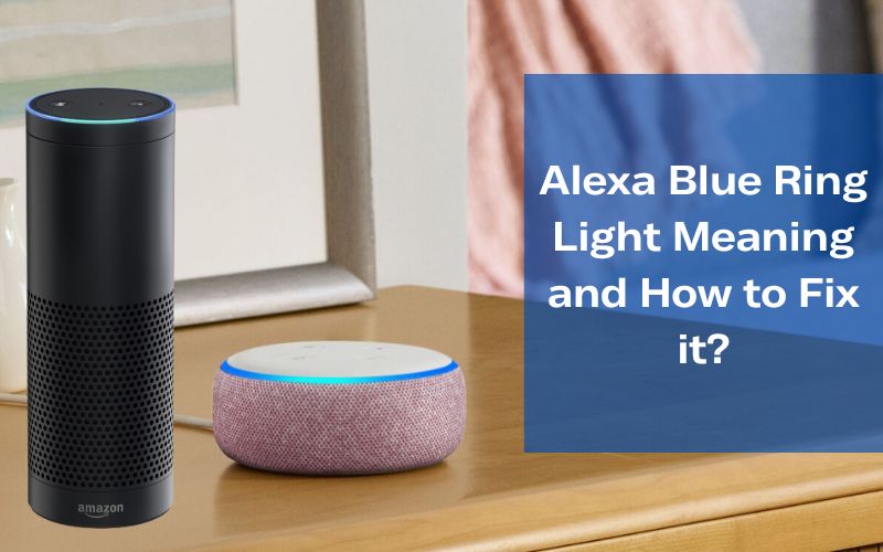 Alexa Blue Light Ring Spinning? How to Fix it