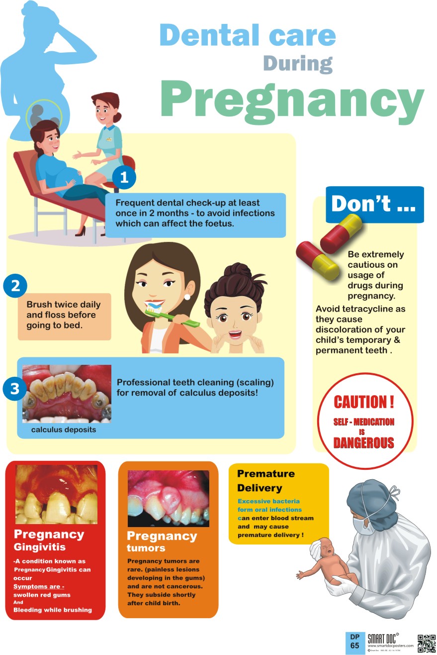 Dental care during pregnancy (Eng.) DP65 E. Smart Doc Posters