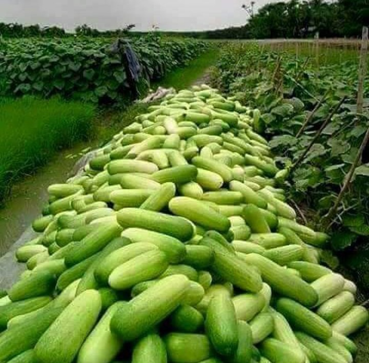 How To Make Money Online Selling Farm Products 7 Easy Steps Smartech