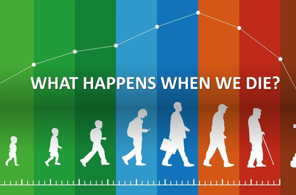 What Happens When We Die? Smartech